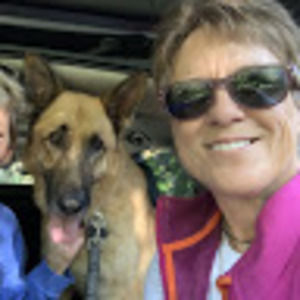 Meet your Posher, Sue